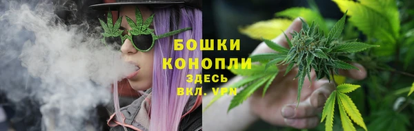 мет Бородино